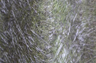 Warninglid fibreglass roof work